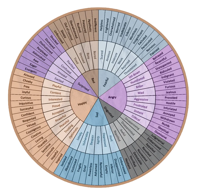feeling-wheel